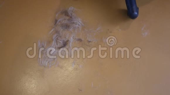 理发店地板上的头发视频的预览图