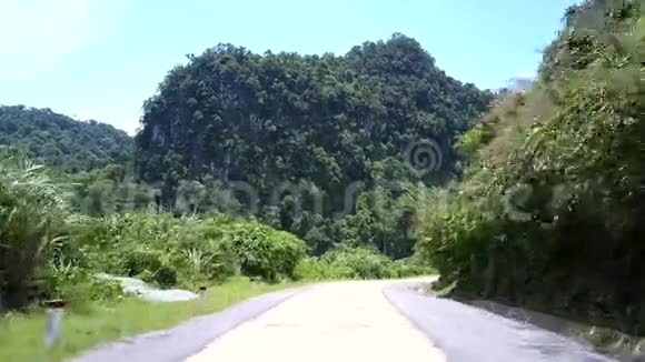 热带雨林的道路由绿树和黑白色的电线杆组成视频的预览图