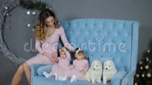 圣诞节的气氛可爱的母亲和女儿摆姿势与两只小狗在蓝色沙发上拍照视频的预览图