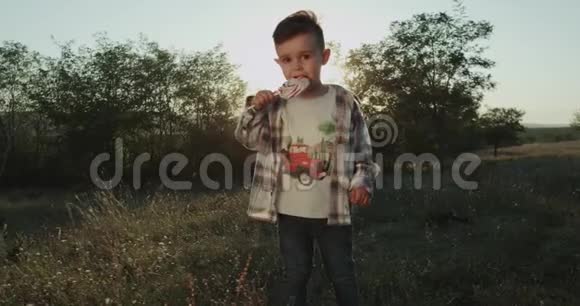 一个有魅力的三岁男孩在镜头前吃棒棒糖在大自然阳光明媚的一天视频的预览图