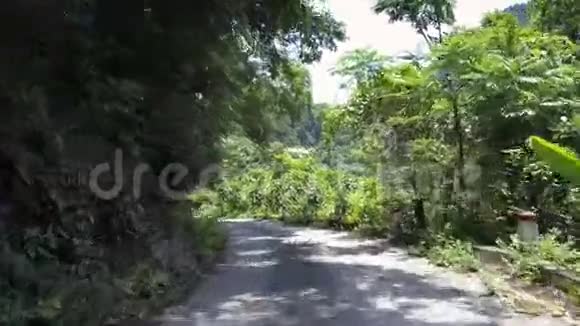 绿色森林中有树影的白色道路视频的预览图