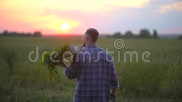 农夫背着一个箱子装满有机蔬菜的篮子在日落或日出时种上胡萝卜视频的预览图