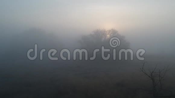 秋天的早晨带着白霜早上冥想视频的预览图