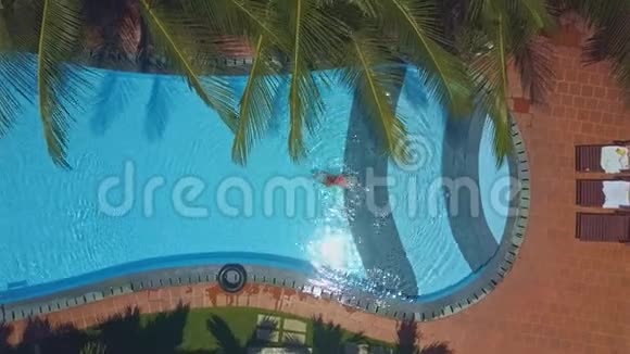 女孩游过棕榈树下的豪华酒店游泳池视频的预览图