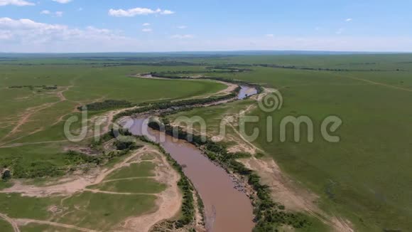 非洲大草原和河流在阳光明媚的白天在塞伦盖蒂视频的预览图