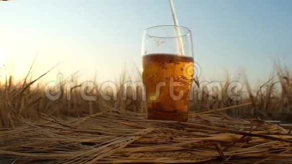 透明的杯子站在麦田里的木桌上他们把啤酒倒进里面视频的预览图