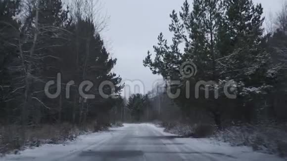 俄罗斯森林之路视频的预览图