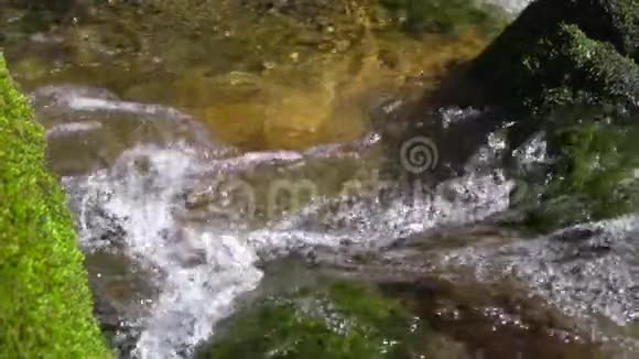 瀑布流清澈的水流穿过覆盖着苔藓的大石头在缓慢的运动中接近视频的预览图