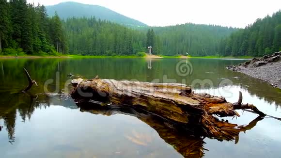 乌克兰锡尼维尔湖上的雨水视频的预览图