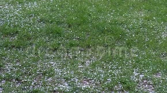 在夏日的绿草上在阴天落下冰雹有暴风雨来了视频的预览图