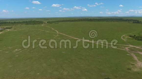在塞伦盖蒂阳光明媚的白天非洲大草原的空中活动视频的预览图