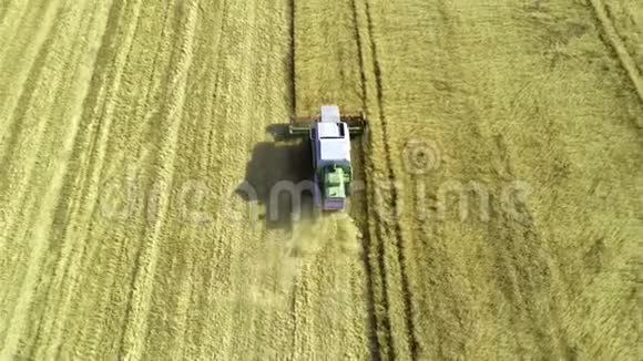 空中观景结合收割机收割小麦视频的预览图