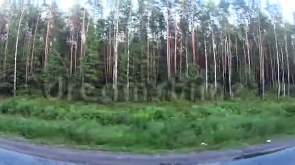 汽车沿着美丽的树木行驶在路上从窗口查看视频的预览图