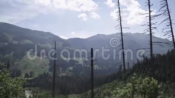 在Tatras的山路上挥舞着树木视频的预览图