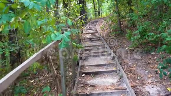 森林中的老木楼梯视频的预览图