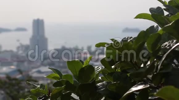 亚洲城市房屋和酒店的景色从植物到山谷中的城市的焦点平稳过渡视频的预览图