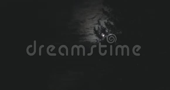 夜空中的月亮和杉树枝视频的预览图