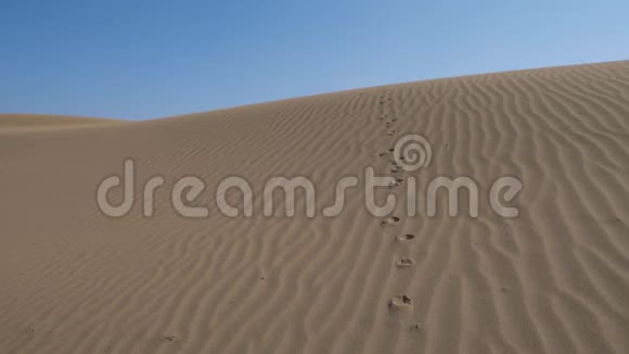 沙滩沙丘沙漠中的脚印亚洲视频的预览图