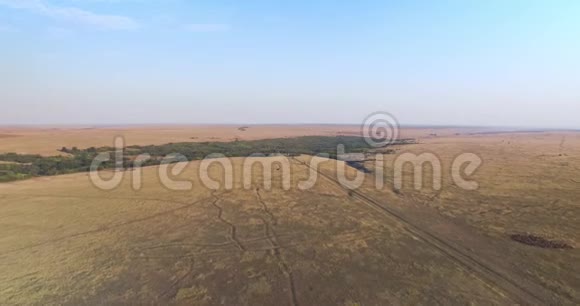 乌克兰平坦平原地形草地的鸟瞰图视频的预览图