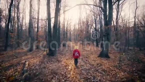 小女孩走在秋天的森林里视频的预览图