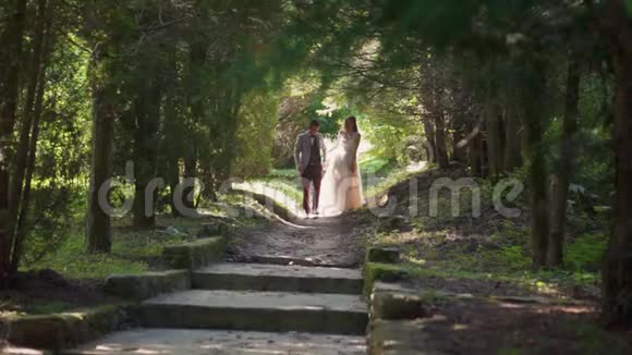 美丽的新婚夫妇漫步在公园的自然隧道之间的树木视频的预览图