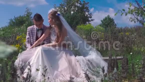 在阳光明媚的日子里美丽的新婚夫妇在自然景观上视频的预览图