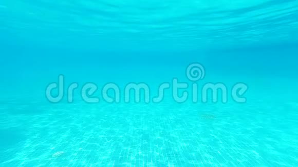 池中纯蓝色的水光线反射从水下看空的蓝色游泳池有致病菌视频的预览图