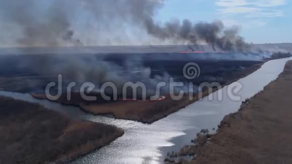 摧毁自然的大型的野火在干燥的草地上快速移动烟雾上升到靠近河流的天空鸟瞰视频的预览图
