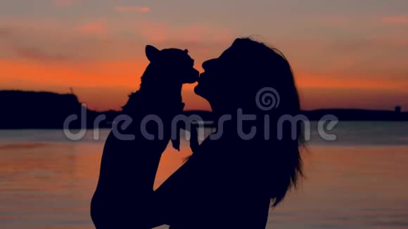 夕阳下一个女人的剪影抱着她的狗深情地吻她视频的预览图