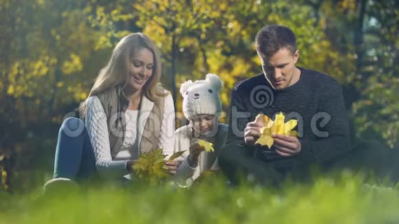快乐的家庭在秋天公园里玩黄叶玩得开心做父母视频的预览图