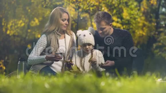 欢乐的家庭在秋天的公园里玩得开心一起度过闲暇时光快乐视频的预览图