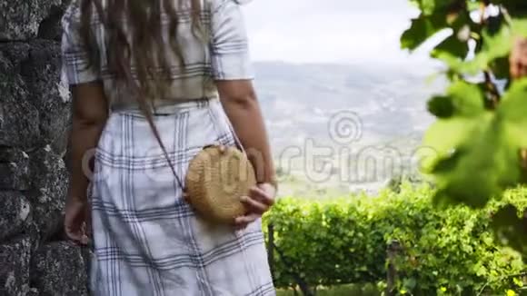 女人走在葡萄园之间视频的预览图