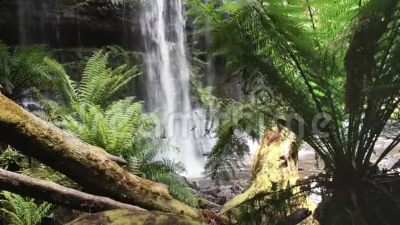 澳大利亚塔斯马尼亚的拉塞尔瀑布基地视频的预览图