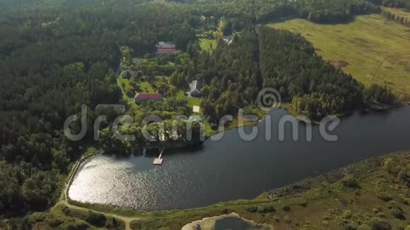鸟瞰湖边和绿色森林附近美丽的小村庄库存录像现代房屋的俯视图松树视频的预览图