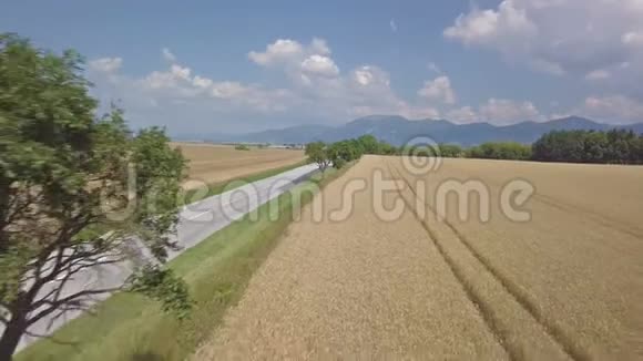 夏令营下麦田道路交通鸟瞰图视频的预览图