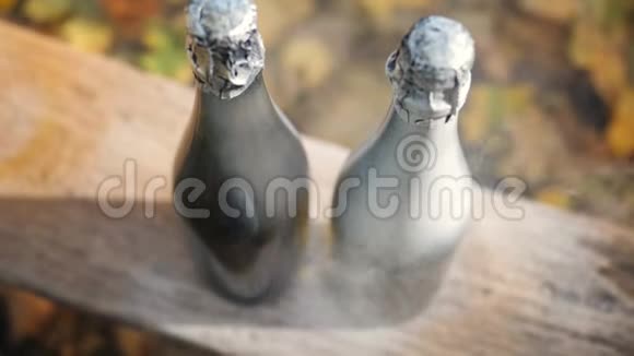 醇酸搪瓷在瓶上喷雾剂中应用的特写手工装饰瓶子视频的预览图