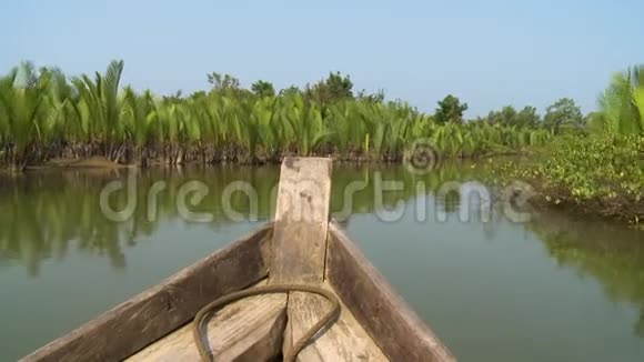 缅甸Kangy河上的绿尼帕棕榈树视频的预览图
