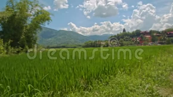 摄像机沿着稻田移动到越南的乡村天空视频的预览图