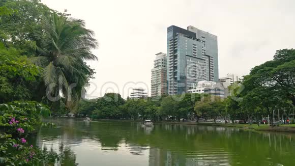城市公园附近的办公楼摩天大楼和自然湖面和绿树对高楼视频的预览图