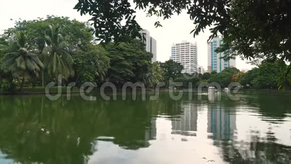 湖在大都市中心的一个大型绿色公园里高树和摩天大楼自然和城市地区视频的预览图