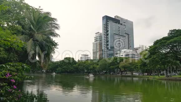 绿色城市公园大池塘和高大的树木商业区在天际线上宁静而沉思的气氛视频的预览图