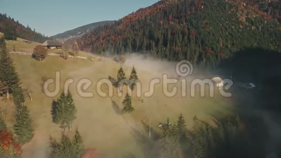 透明的薄雾笼罩着山村房屋和松树视频的预览图