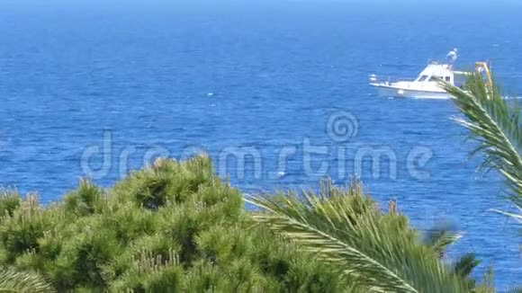 从棕榈树看船航行到土耳其海岸从希腊看风景视频的预览图