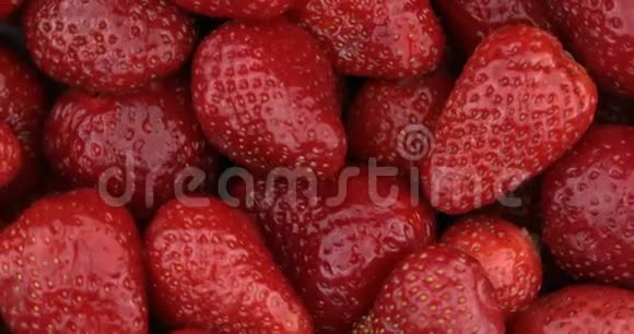红熟有机草莓轮作视频的预览图
