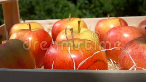 成熟多汁的红苹果放在木箱里视频的预览图