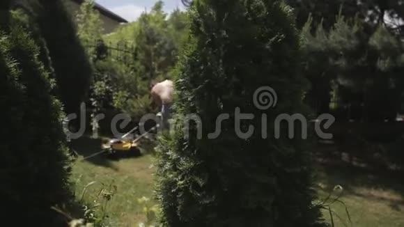 一个胖秃头光着光着上身用黄色割草机修剪草坪关注前景中的叶子视频的预览图