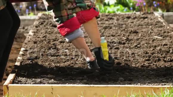 园丁在种植前在土壤中成排视频的预览图