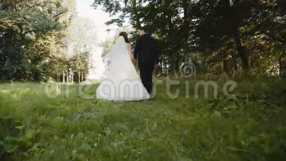 新婚夫妇在森林中漫步的背景视频的预览图