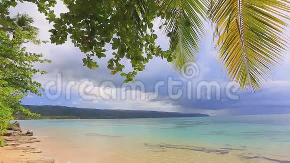热带泻湖和野生海滩上的棕榈树和植物视频的预览图