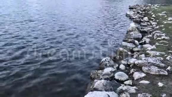 湖面和岩石视频的预览图
